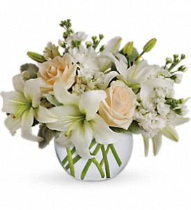 Isle of White Arrangement