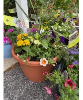 Italian TC planter Patio pot 