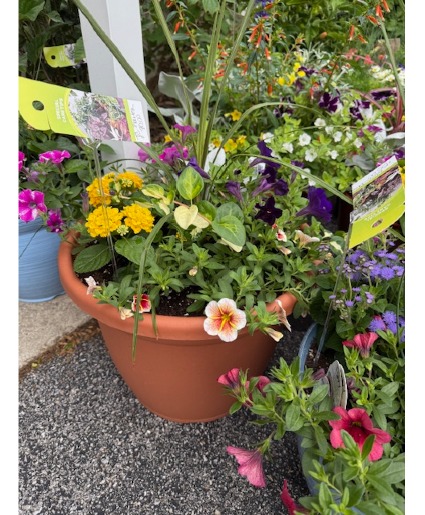 Italian TC planter Patio pot