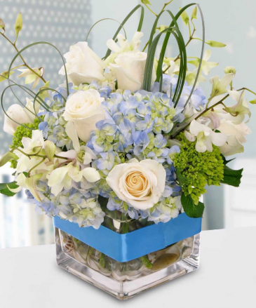 It's A Boy  in Monument, CO | Enchanted Florist