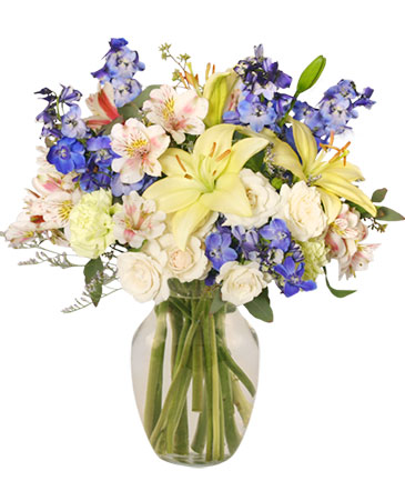 It's A Boy! Bouquet Flower Arrangement in New Port Richey, FL | FLOWERS TODAY FLORIST