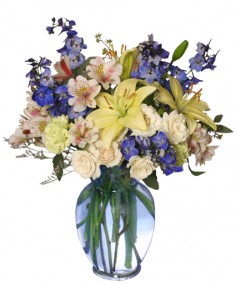 Category Image