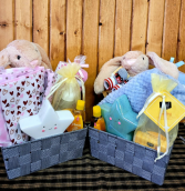 It's a Boy It's a Girl Gift Basket
