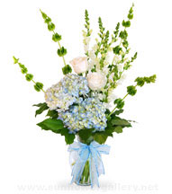 Its A Boy ring the belles Mixed Flowers