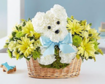 It’s a-DOG-able® Boy Arrangement