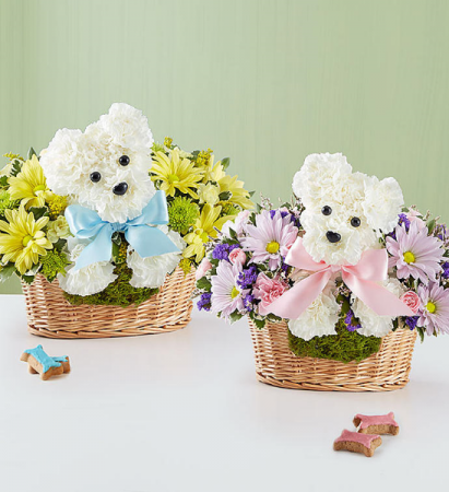 It’s a-DOG-able® Boy or Girl 3D New Baby - Boy or Girl