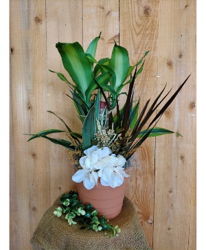 It's a garden thing. green plant