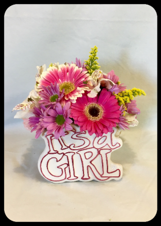 It's a Girl!