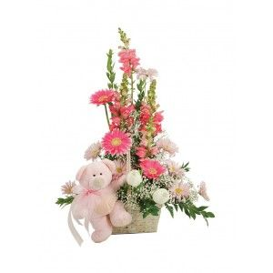 WELCOME BABY GIRL BASKET in Daphne, AL | WINDSOR FLORIST WELCOME BABY GIRL BASKET in Daphne, AL | WINDSOR FLORIST