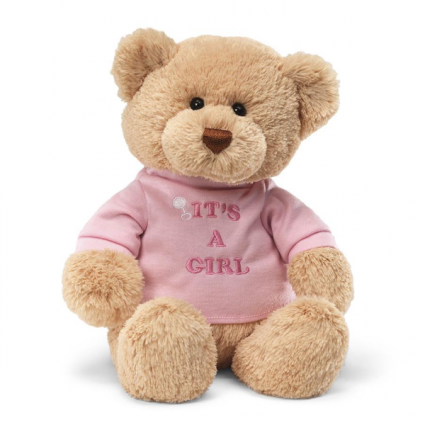 It's A Girl Teddy Bear Stuffed Animal