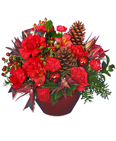 Category Image