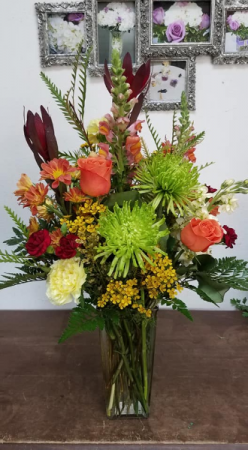 It's Fall Ya'll Fallrfari sunset protea