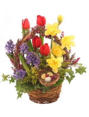 It's Finally Spring! Basket Arrangement