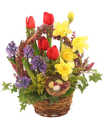 It's Finally Spring! Basket Arrangement in Albany, NY | Ambiance Florals & Events