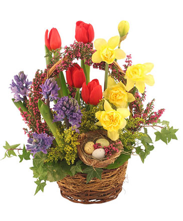 It's Finally Spring! Basket Arrangement in Abbotsford, BC | BUCKETS FRESH FLOWER MARKET INC.