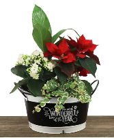 It's The Most Wonderful Time of The Year Planter Christmas Holiday Planter