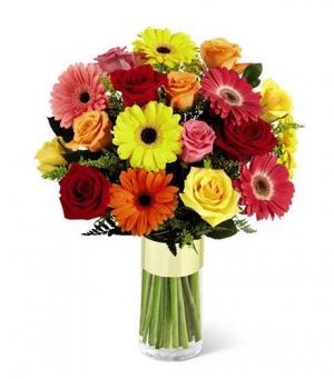 It's Your Day! Gerbera and Rose Arrangement