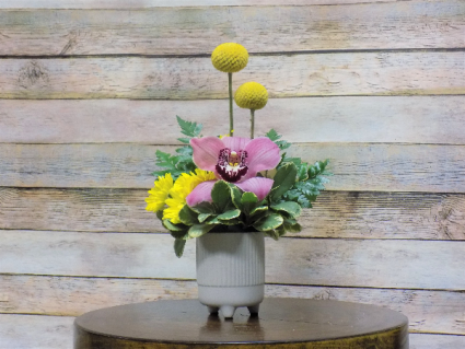 Itsy Bitsy Orchid Dish Arrangment