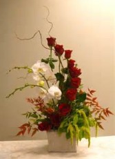 I've Fallen For you Cascading Rose Arrangement with Live Orchid Plant