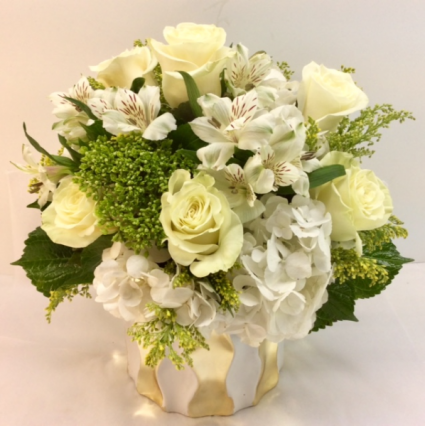 M6 Ivory Elegance