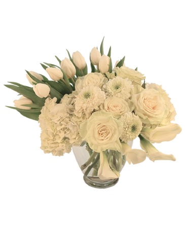 Ivory Splendor Arrangement in Pittsfield, MA | NOBLE'S FARM STAND AND FLOWER SHOP