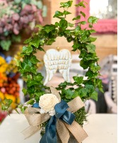 Ivy & Angel Wings plant
