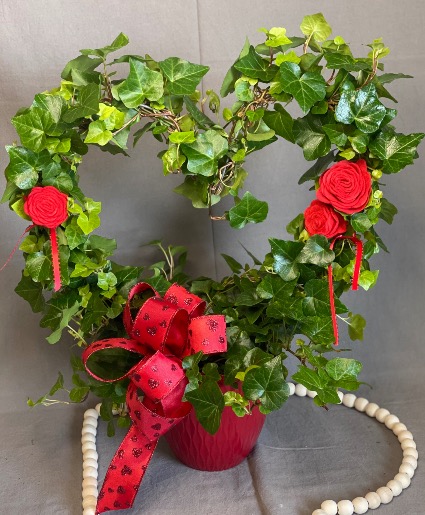 Ivy Heart Wreath 6” Plant