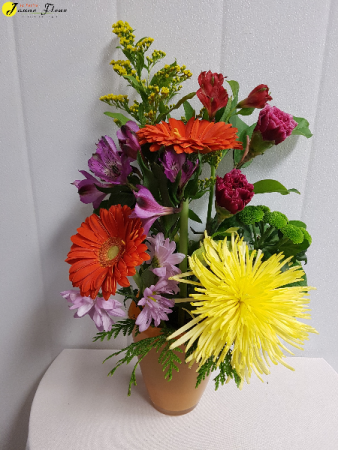 Jan - Keeping it Colorful