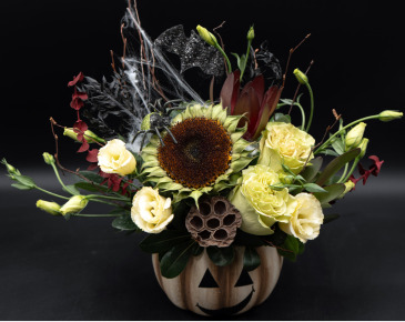 Jack O. Pumpkin Arrangement in Saskatoon, SK | QUINN & KIM'S FLOWERS