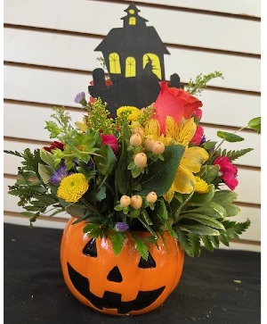 Jack-Oh-Lantern Halloween Pumpkin