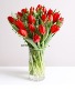J’adore Tulip Arrangement