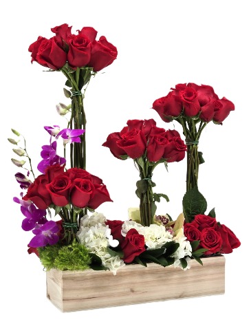 Jardin de Pasión  Item #114  in San Juan, PR | ELIKONIA FLOWERS Jardin de Pasión  Item #114  in San Juan, PR | ELIKONIA FLOWERS