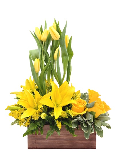 Jardin de Primavera Everyday Occasion Arrangement