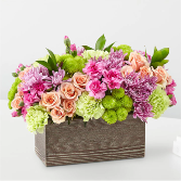 Jardin de Verano Everyday Occasion Arrangement