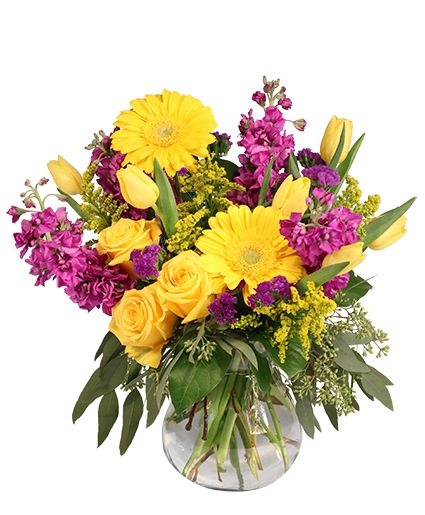 Jazzy Jubilee Vase Arrangement in Haddon Heights, NJ - Freshest Flowers