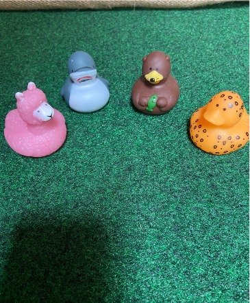 jeep animal duck set of 24 perfect for the jeep lover passout to your favorite jeep in Renton, WA | Alicia's Wonderland II
