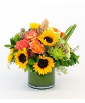 Jennings Beach Sunset 