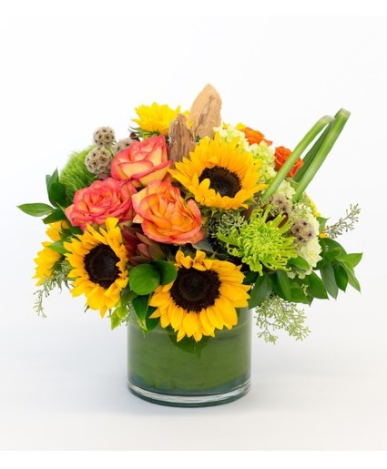 Jennings Beach Sunset 