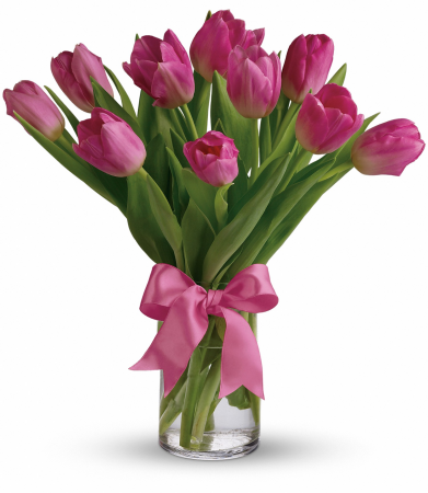 JFDT Precious Pink tulips