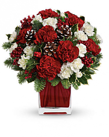 Jingle All The Way Pet Friendly Standard size only