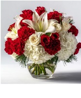 Jingle Belle TMF1960