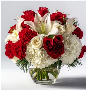 Jingle Belle TMF1960