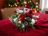 Jingle Blooms  Holiday