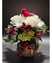 Jingle Fresh Arrangement