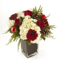 Jingle Vased Arrangement