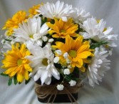 21 DAISIES... YELLOW AND WHITE BLOOMS HAPPY 21ST!!! ARRANGED IN A CUBE VASE WITH BABY'S BREATH AS FILLER