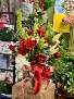 Jolly and Merry arrangement CHRISTMAS AMARYLLIS 