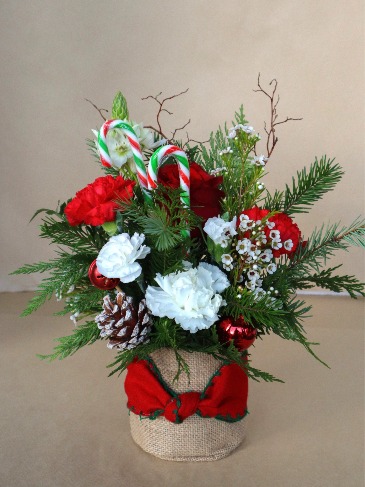 Jolly Good Time Festive Arrangement in Delta, BC | FLOWERS BEAUTIFUL