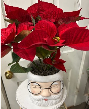 Jolly Poinsettia Santa 