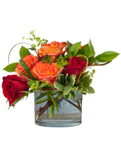 Jordan Arrangement